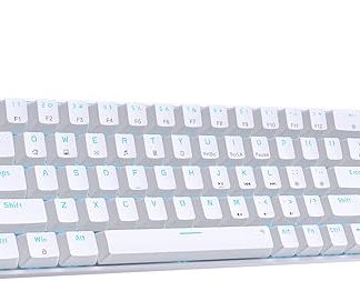 DIERYA T68SE 60% Gaming Mechanical Keyboard,Ultra Compact Mini 68 Key with Red Switches Wired Keyboard,Anti-Ghosting Keys, for Windows Laptops and PC Gamers,White