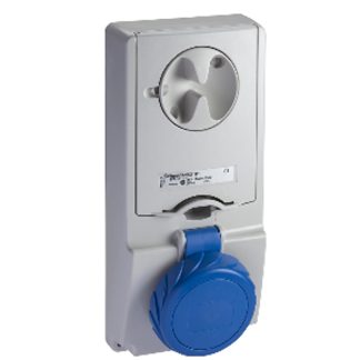 Interblocco industriale Schneider Electric Grigio IP65 femmina 2P+E,16A,250 V