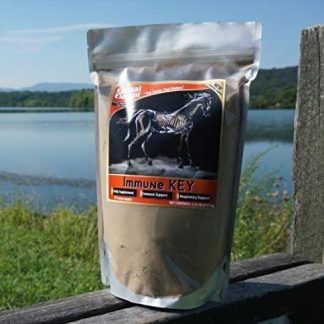 Immune Key - 1.25 lb. - All Natural, GMO-Free, Builds Strong Immune System